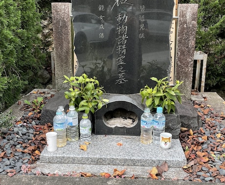 あなたのお墓を「墓地清掃士」がピカピカにします 東京・千葉・神奈川・茨城のお墓を心を込めてお掃除します。 イメージ1