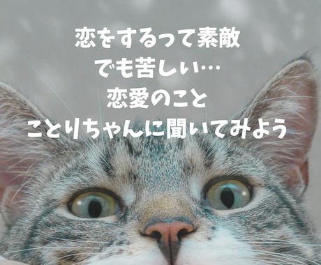 お試し簡易版☆サクッと占いたい！！１つだけ占います 目指すは心を軽くするお手伝い♪ことりちゃんとたまと一問一答? イメージ2