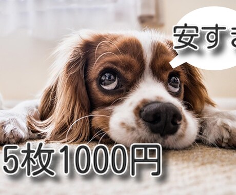 画像、写真の切り抜き承ります イメージ1