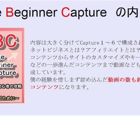 ネットビジネスで月収１０万を稼ぐ方法を教えます まずは月収１０万円それから夢は広がります イメージ1