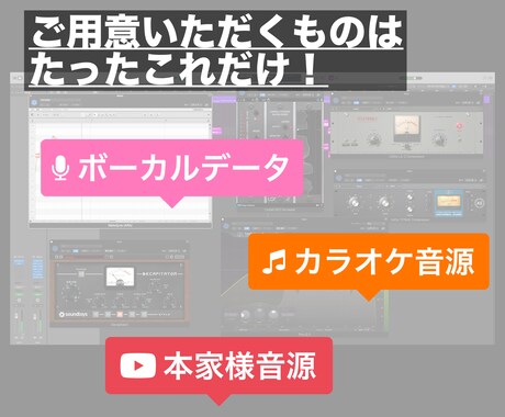 プロがリーズナブルに歌ってみたミックスします 初めての方も全力サポート！！全て込み込みのMIXサービス イメージ2