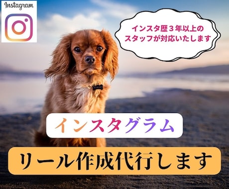 Instagramの「リール」を作成代行します ご希望に沿ったリールを他社様より圧倒的に安価で作成いたします イメージ1