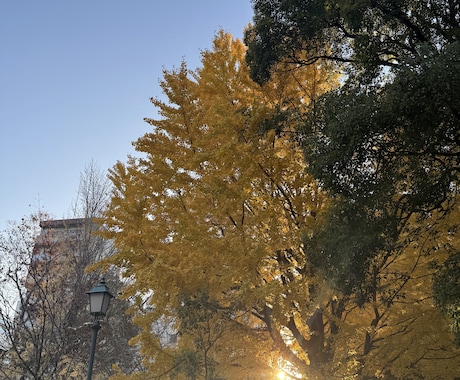 面談300名超◎フラット＆否定せずに話を伺います 深夜や休日OK◎あなたの悩みを聞かせてください イメージ1