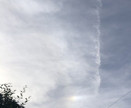 ペットちゃんに宇宙からの癒しのレイキを送ります 動物もレイキの光で癒され包まれるヒーリングを遠隔で送ります イメージ1