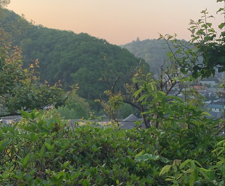 高尾山の美しい景色お届けします イメージ1