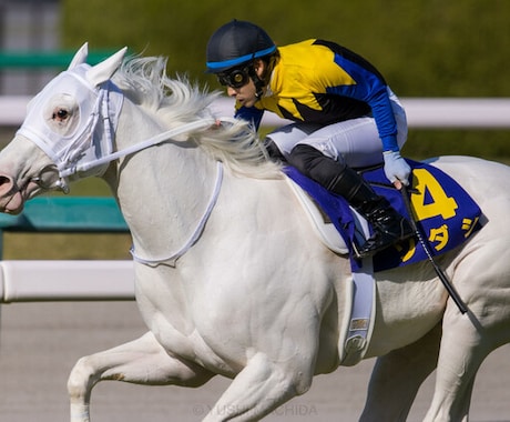 ギャンブル依存症の方へ断ち切り提案します 競馬、競輪、競艇、パチンコで借金してる人へ送ります。 イメージ1