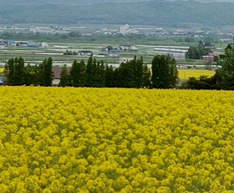 メンタルケアカウンセラーです。ぜひお待ちしています 介護福祉士は23年勤務し、色々な経験を経てカウンセラーです イメージ2