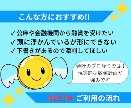 ミッション加速！事業計画書・経営計画書を作成します 融資・社内どちらか選択！現役高級会計事務所職員作成！ イメージ2