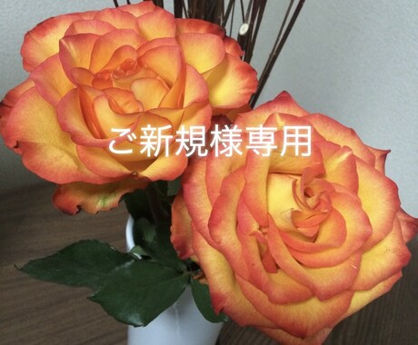 ご新規様限定☺︎ タロットカードで占います 多様なスプレッドを用いたタロットと直感で、紐解きます。 イメージ2