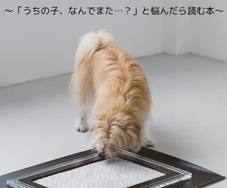 トイレの成功率を上げる！5つのポイントお伝えします 「トイレの失敗が減らない…」そんなあなたへのPDF教材です！ イメージ1