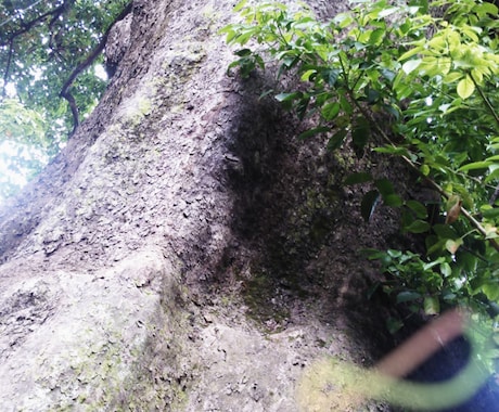 貴方の過去の心の傷を癒します 。心がむやみやたらに苦しくなる時に イメージ1