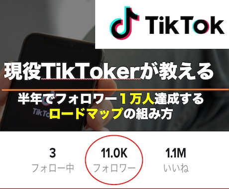 フォロワー１万人達成するロードマップ方法教えます 半年でフォロワー1万人達成した現役TikToker⭐️ イメージ1