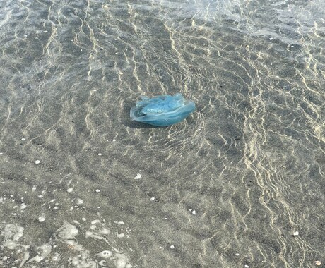 なんでも相談聞きます 恋愛・愚痴・対人関係など色々な相談なんでもしてください！！ イメージ1