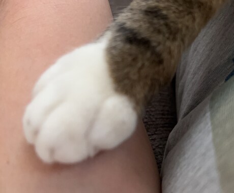 心理カウンセラー。話す事で気持ちを楽にします 女性専用。1人で抱えこまないで話してみませんか？ イメージ1