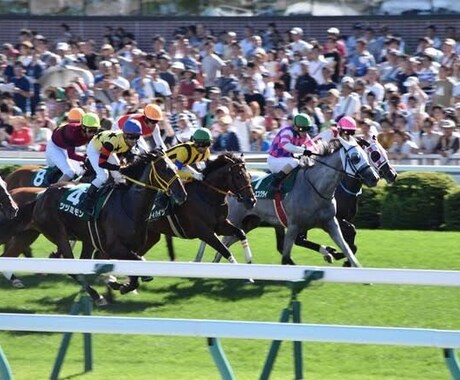 競馬投資　1点買いお教えします 予想不要、競馬知識不要。競馬を楽しみましょう！ イメージ1