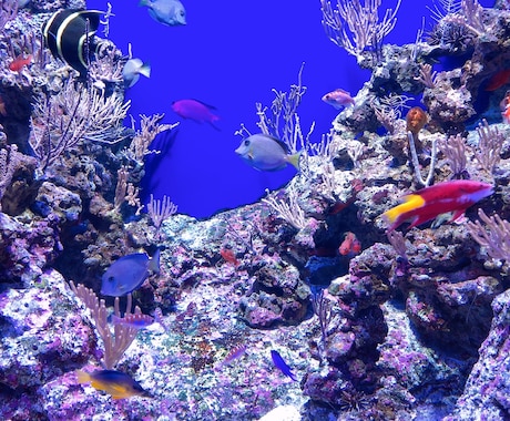 現役カウンセラーが秘密厳守でお話聞きます 愚痴、悩みを聞いて！肯定して！お酒を飲みながら！なんでもOK イメージ2