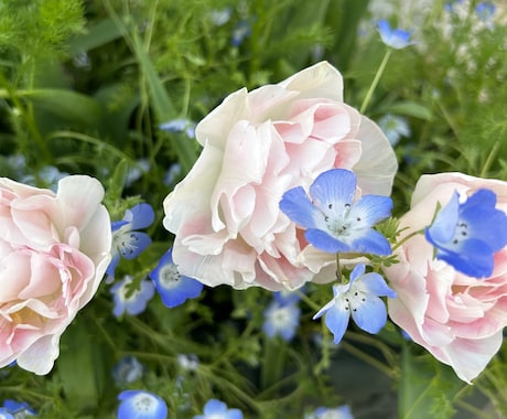 ただ聞いてほしい隙間時間にお答えします ちょっと空いた時間に少し話したい時に是非聞くだけなら是非！ イメージ1