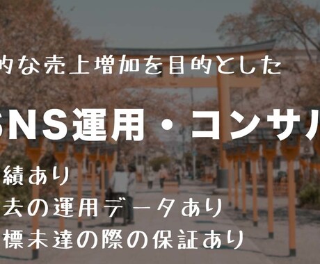 SNSで長期的な売上増加を実現します 過去の運用データに基づいた確度の高い運用 イメージ1