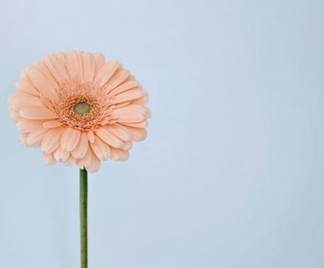 女性限定　電話でお悩み相談します 友達のように話してください自己啓発・生き方・人生なんでも イメージ1