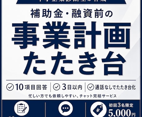 補助金・融資前の事業計画を整理します 10項目回答・3日以内・通話なしでたたき台化 イメージ1
