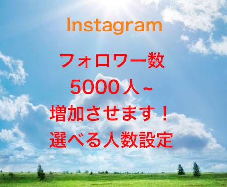 Instagramのフォロワー増加させます 即日対応。複数購入で割引あり！ イメージ1