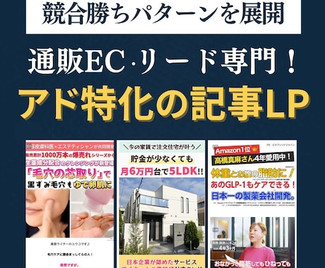 美容健康通販特化！獲得できる記事LP を制作します 【実績あり】記事1本でCV数＆LTV最大化 イメージ1