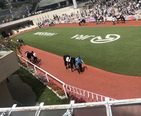 競馬初心者に馬券の買い方教えます 競馬を最近始めたけど当たらない！っていう方でもOKです！ イメージ2