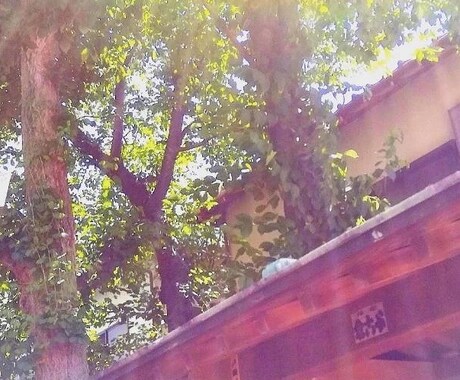 運気が上がる吉方位お参りアドバイスします 夜職・芸能関係・客商売の方など必見 イメージ1