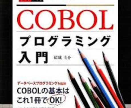 プログラミングのCOBOLの基礎教えます 分からない文脈、どう書いたらいいの？基礎的なことなんでも☆ イメージ1