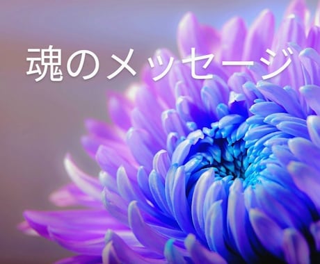 いま必要な【魂からのメッセージ】お伝えします 【個人情報不要】あなたの魂とつながってお伝えします イメージ1