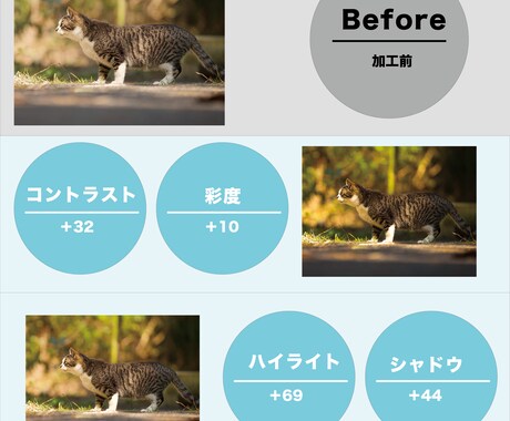 あなたの写真を”雰囲気のある一枚”に変えます いつもの写真に少し雰囲気を加えて、あなただけの一枚に！！ イメージ2