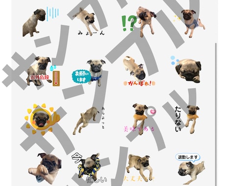 かわいい愛犬のLINEスタンプを作成します 愛犬家だからこそ作れる！あなたのうちの子スタンプを作ります♡ イメージ2