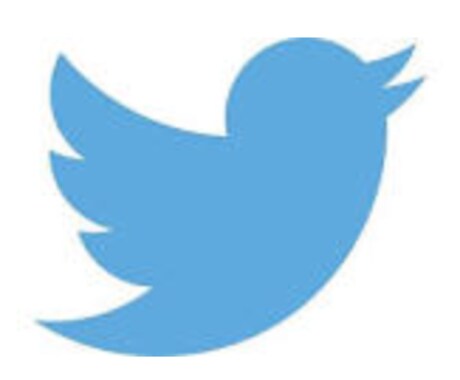 1万5千〜インプ保証！最大1000万以上拡散します TwitterでPR/拡散/宣伝/バズ/代理投稿/ イメージ2