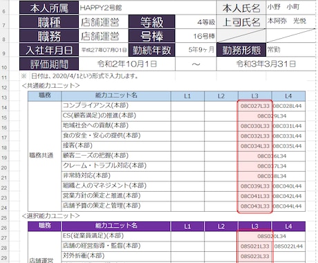 能力評価シート(スーパー、店舗運営)を販売します 厚生労働省の「職業能力評価基準」を採り入れています。 イメージ2