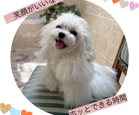 ただ誰かと話したい時、ゆっくりお話し聞きます 電話する勇気ない人も大丈夫、まずは第1歩、優しく受け止めます イメージ1
