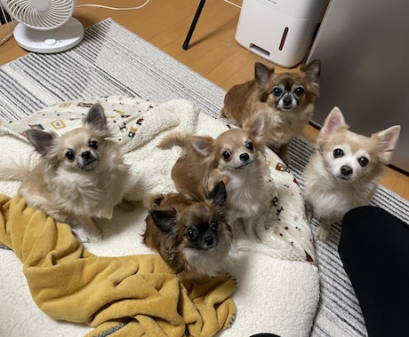 精神的な病気、うつ病でも恋愛や結婚できます 辛い努力も救われるはず！恋愛や結婚で人生が180度変わります イメージ1