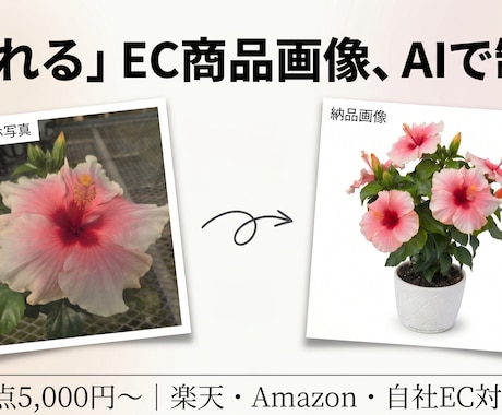 楽天・EC向け売れる商品画像をAIで制作します 楽天で売ってきたEC実務8年の視点で、クリックされる一枚を イメージ1