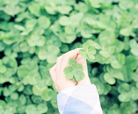 あなたの守護天使とお話します 誰にでもいる守護天使。守護天使からのメッセージを伝えます。 イメージ1