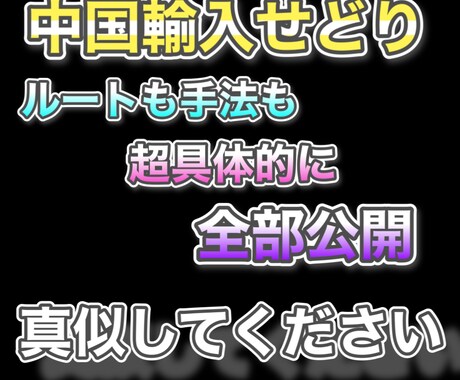 仕入れルート公開。1〜10まで全て教えます 誰にでもわかるよう中国輸入せどりを超実践的に教えます。 イメージ1