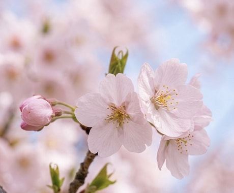 霊視霊魂‼️願望成就‼️仕事も恋愛も未来を視ます 仕事の転機・恋の結末・相手の本音、霊視で全てを即座に伝えます イメージ2