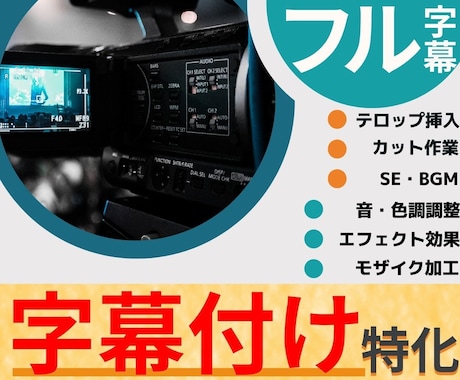 動画に字幕だけでいいから付けて欲しい！に対応します 字幕付けに特化！内容がわかれば、それでいい方には必見です！ イメージ1