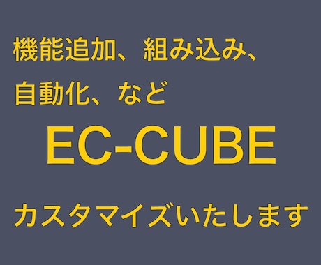 ECCUBEのカスタマイズ承ります カスタマイズから、バージョンアップ、制作まで幅広く対応！ イメージ1