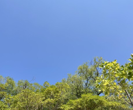 いつも頑張り過ぎてしまうあなたの心に寄り添います 頑張り過ぎてしまう前に☆どんなお話でも親身にお聞きします。 イメージ1