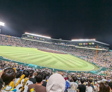野球場で撮影した写真を販売します イメージ1