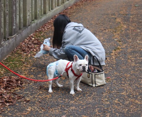 5分でも大丈夫！誰にも言えないような悩み聞きます オンライン心理カウンセリングを全力で行います！ イメージ1