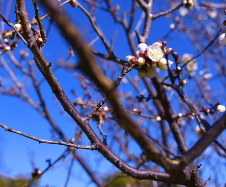 写真を代行します 見たことの無い景色をあなたへ。。 イメージ2
