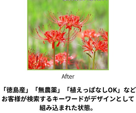 楽天・Yahoo・メルカリ！売れるページ制作します 現役運営者が伝授！自前画像を活かしたSEOとスマホバナー制作 イメージ2