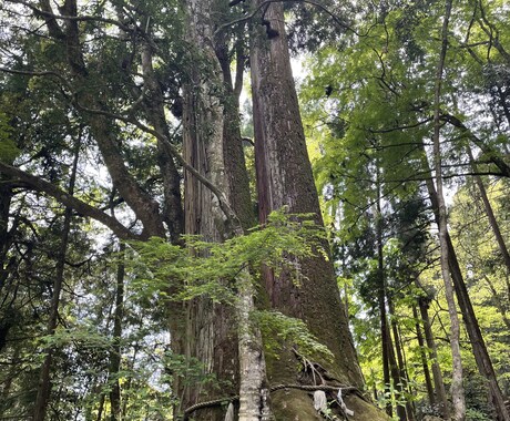 あなたの心の倉庫になります 秘密厳守!あなたのどこにも向けられない気持ち受け止めます! イメージ2