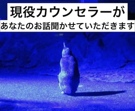 現役カウンセラーが秘密厳守でお話聞きます 愚痴、悩みを聞いて！肯定して！お酒を飲みながら！なんでもOK イメージ1