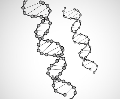 高校生物の記述問題を添削指導します 医学生塾講師が丁寧に理解できるまで解説します！ イメージ1